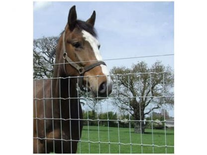 Horse Fence